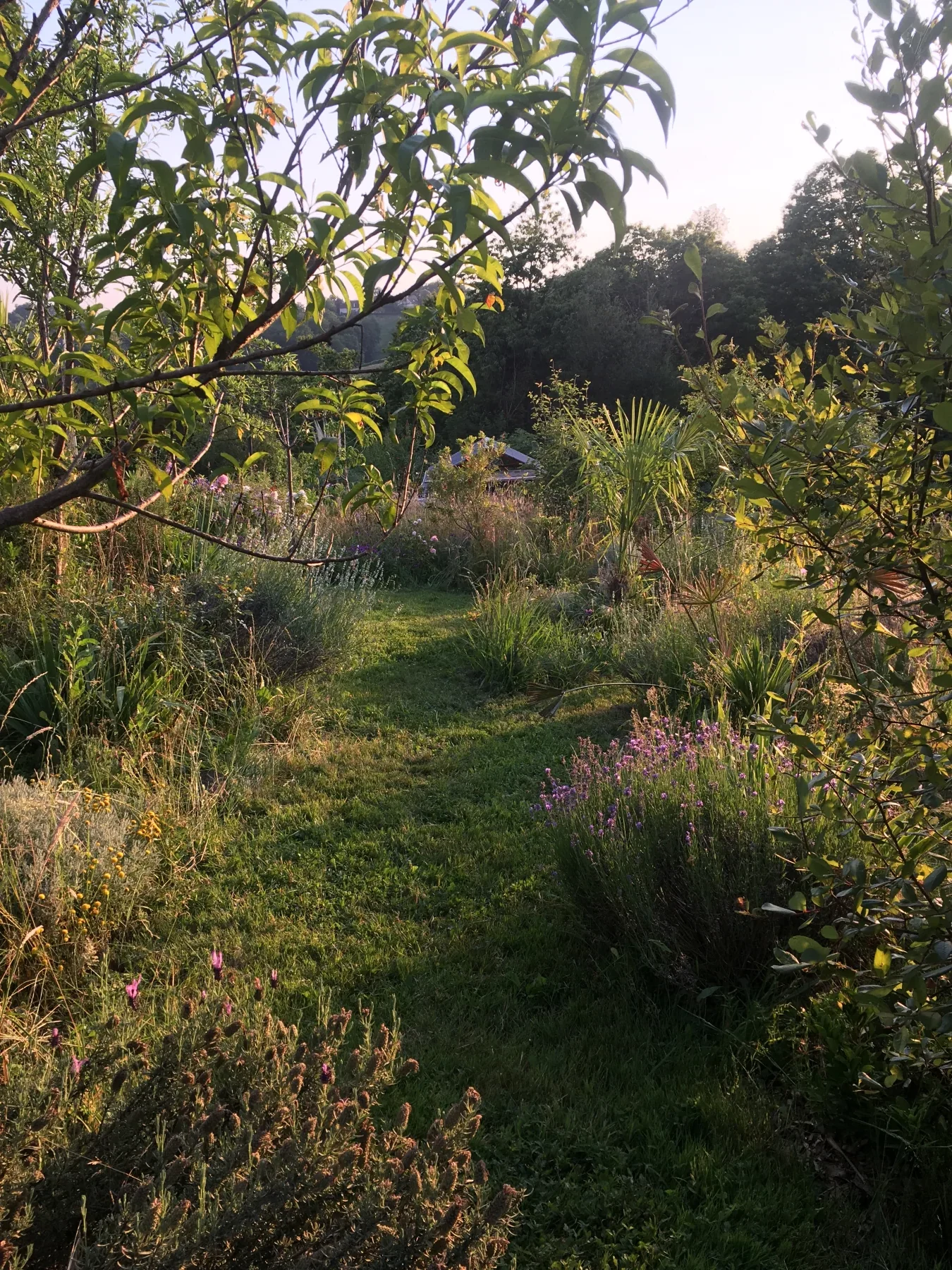 Jardin et fruitiers